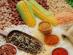 备孕须知 常吃三种助排卵食物，助力好孕降临