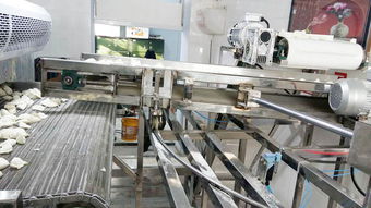 天嘉SD-03速冻水饺流水线 荥阳天嘉食品机械制造厂的日用百货生产利器